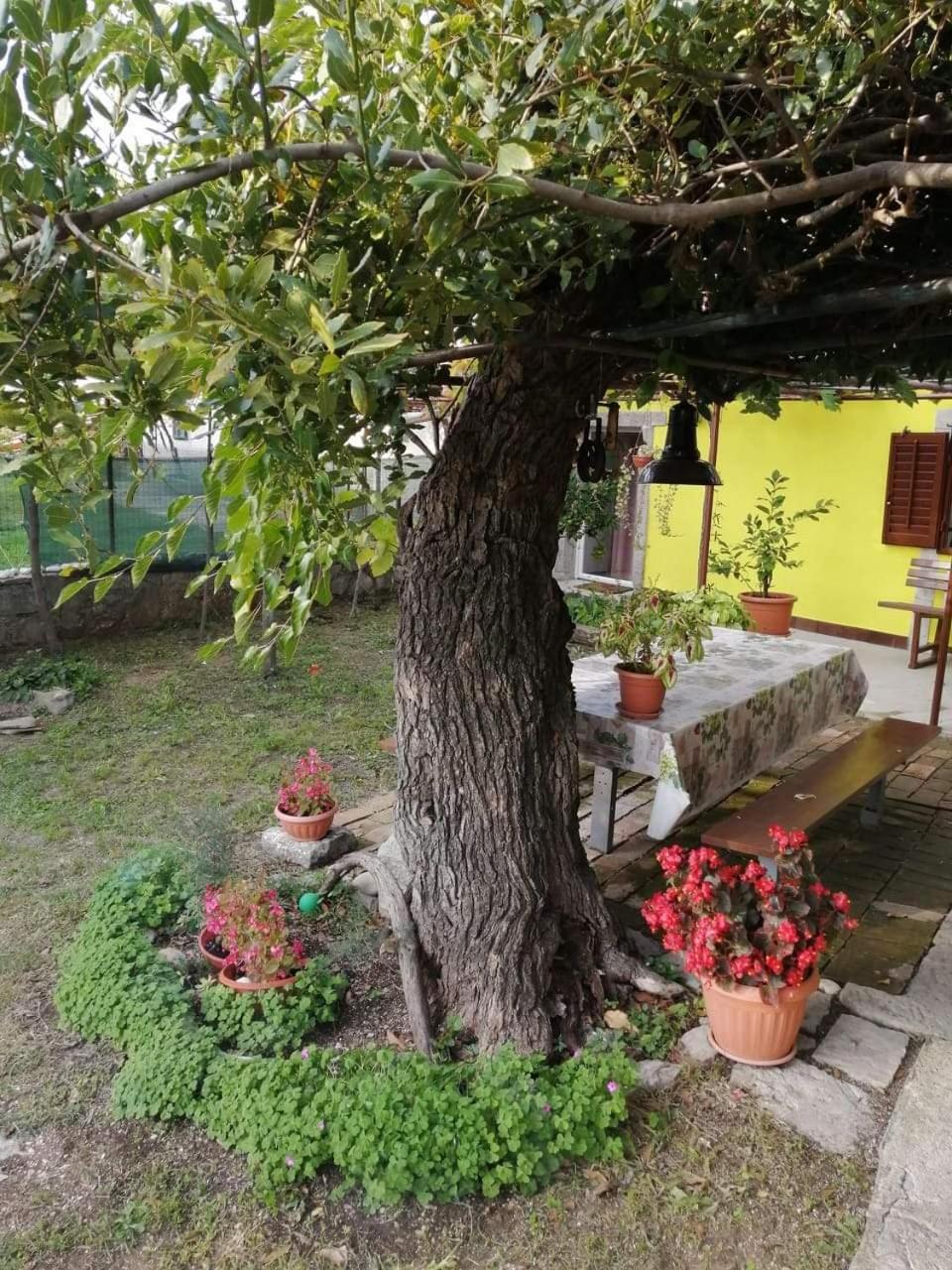 Holiday House Nono لابين المظهر الخارجي الصورة